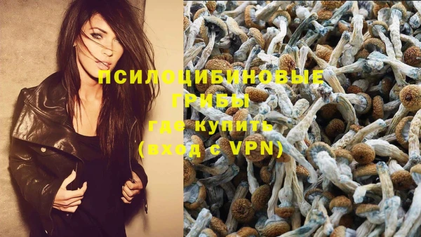 прущие крисы Беломорск