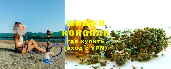 ГАЛЛЮЦИНОГЕННЫЕ ГРИБЫ Белоозёрский