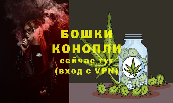 таблы Белокуриха